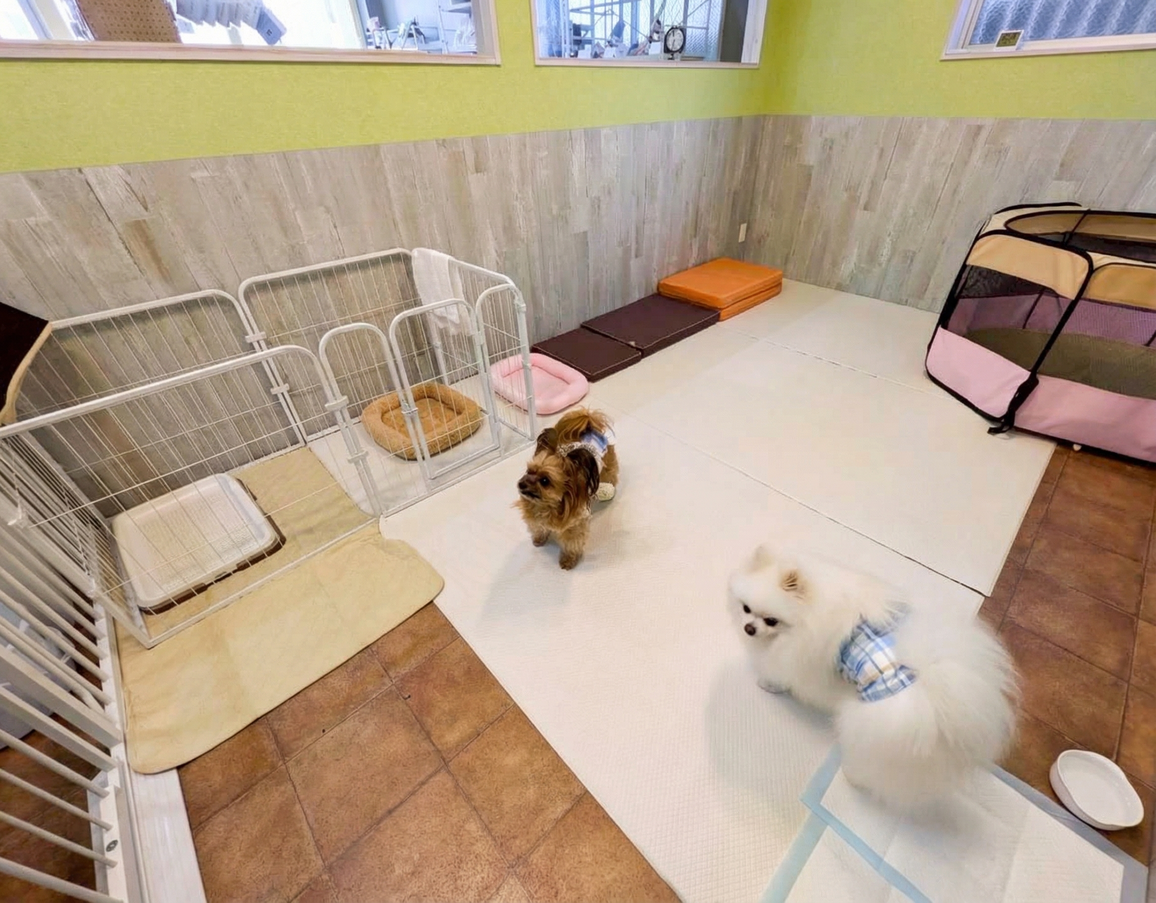 Rosette+ ご利用の流れ