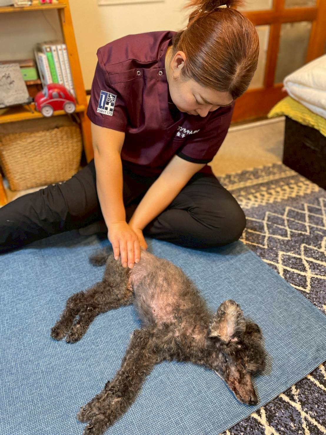 整体を受けるワンちゃんの様子